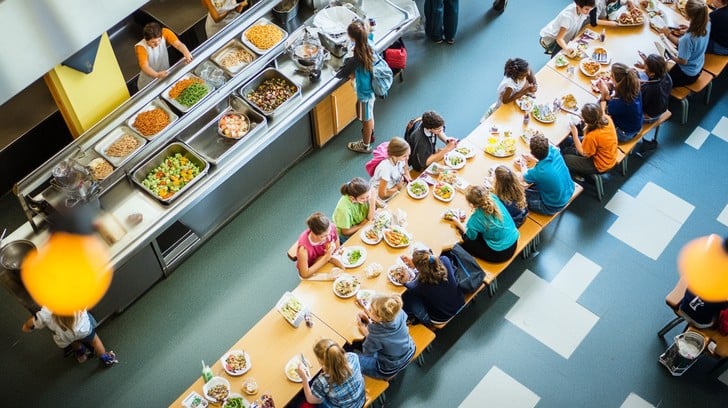 busy-school-cafeteria-stockcake